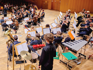 Jugendorchester Bamberg | Das Junge Streichorchester